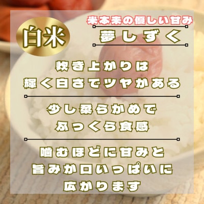 さがびより3kg夢しずく3kg【白米食べ比べ】【特A評価】五つ星お米マイスター厳選(鳥栖市)