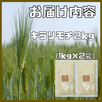 【もち麦】キラリモチ2kg(1kg×2袋)佐賀県産『雑穀』(鳥栖市)