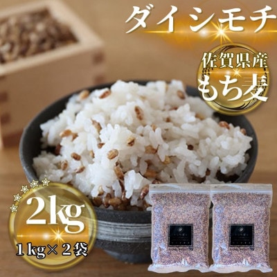 【もち麦】ダイシモチ2kg(1kg×2袋)佐賀県産『雑穀』(鳥栖市)