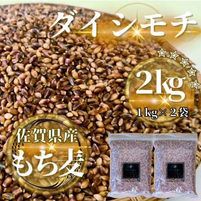【もち麦】ダイシモチ2kg(1kg×2袋)佐賀県産『雑穀』(鳥栖市)