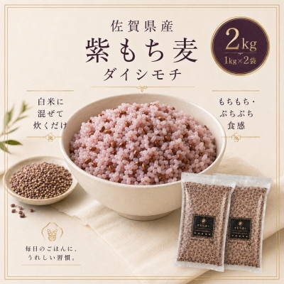 【もち麦】ダイシモチ2kg(1kg×2袋)佐賀県産『雑穀』(鳥栖市)