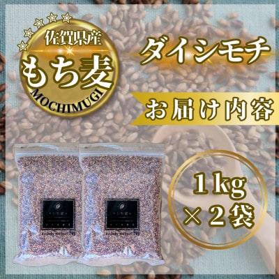 【もち麦】ダイシモチ2kg(1kg×2袋)佐賀県産『雑穀』(鳥栖市)