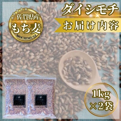 【もち麦】ダイシモチ2kg(1kg×2袋)佐賀県産『雑穀』(鳥栖市)