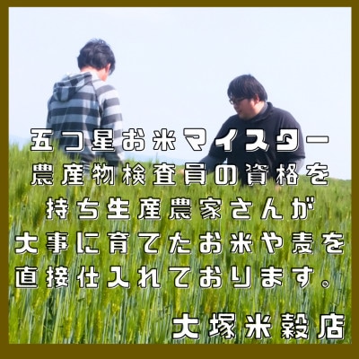 【もち麦】ダイシモチ2kg(1kg×2袋)佐賀県産『雑穀』(鳥栖市)