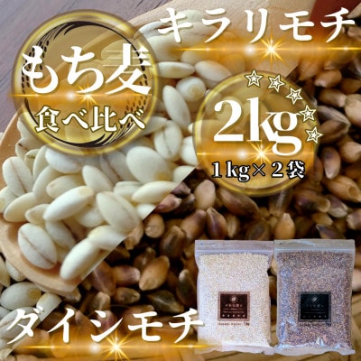 【もち麦食べ比べ】キラリモチ1kg・ダイシモチ1kg　佐賀県産『雑穀』(鳥栖市)