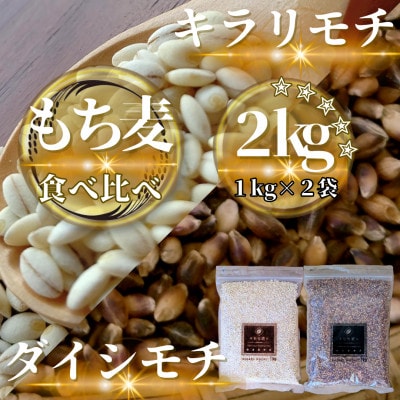 【もち麦食べ比べ】キラリモチ1kg・ダイシモチ1kg　佐賀県産『雑穀』(鳥栖市)