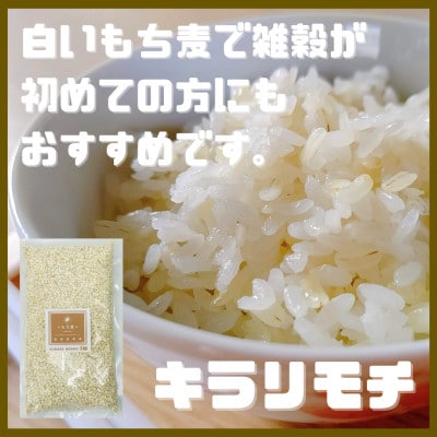 【もち麦食べ比べ】キラリモチ1kg・ダイシモチ1kg　佐賀県産『雑穀』(鳥栖市)