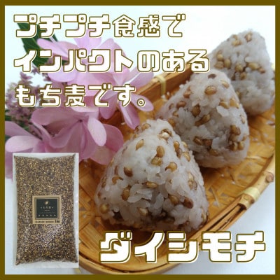 【もち麦食べ比べ】キラリモチ1kg・ダイシモチ1kg　佐賀県産『雑穀』(鳥栖市)