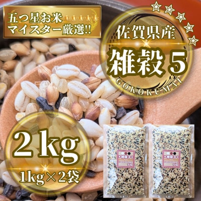 yG5z1kg×2(ꌧY@܍)(s)