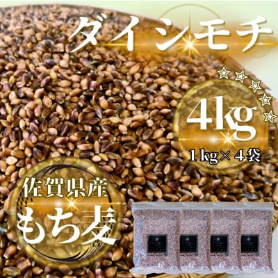 【もち麦】ダイシモチ4kg(1kg×4袋)佐賀県産『雑穀』(鳥栖市)