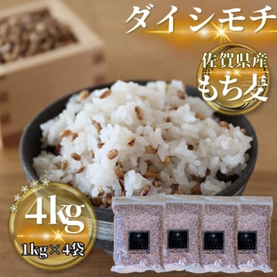 【もち麦】ダイシモチ4kg(1kg×4袋)佐賀県産『雑穀』(鳥栖市)
