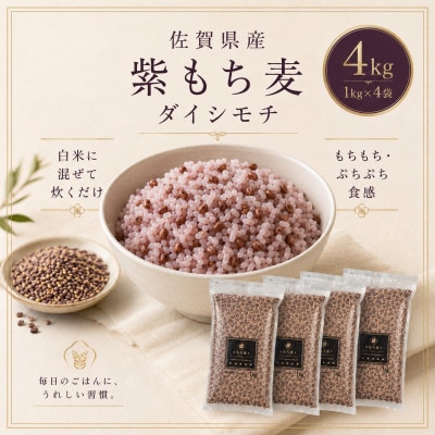 【もち麦】ダイシモチ4kg(1kg×4袋)佐賀県産『雑穀』(鳥栖市)
