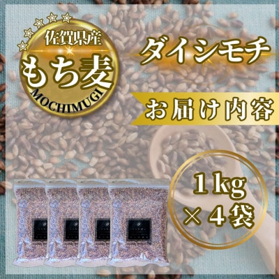 【もち麦】ダイシモチ4kg(1kg×4袋)佐賀県産『雑穀』(鳥栖市)