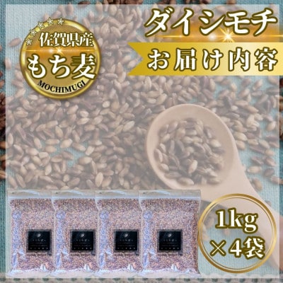 【もち麦】ダイシモチ4kg(1kg×4袋)佐賀県産『雑穀』(鳥栖市)