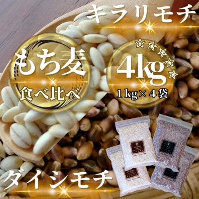 【もち麦食べ比べ】キラリモチ2kg・ダイシモチ2kg　佐賀県産『雑穀』(鳥栖市)