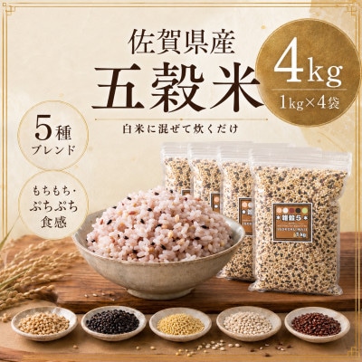 【雑穀5】1kg×4袋(佐賀県産　五穀米)(鳥栖市)
