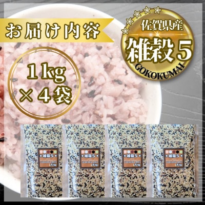 【雑穀5】1kg×4袋(佐賀県産　五穀米)(鳥栖市)