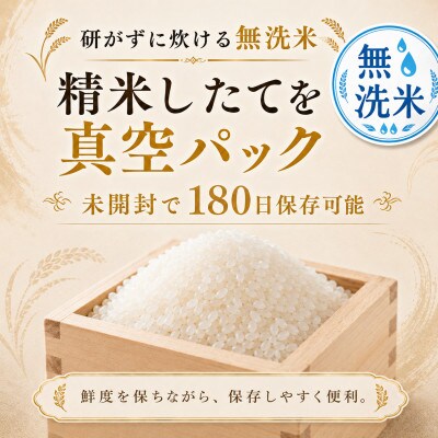 さがびより【無洗米】2kg(真空パック)(鳥栖市)