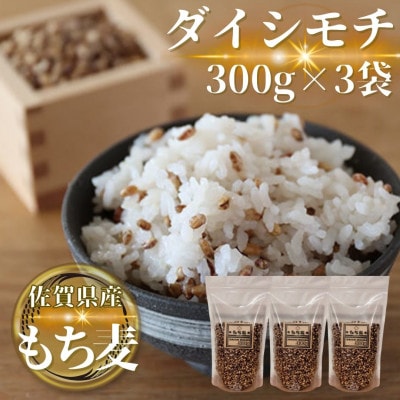 【もち麦】ダイシモチ300g×3袋(計900g)佐賀県産『雑穀』(鳥栖市)