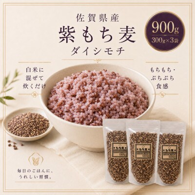 【もち麦】ダイシモチ300g×3袋(計900g)佐賀県産『雑穀』(鳥栖市)