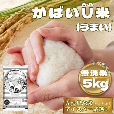 がばいU米(うまい)【無洗米】5kg(鳥栖市)