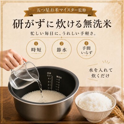 がばいU米(うまい)【無洗米】5kg(鳥栖市)