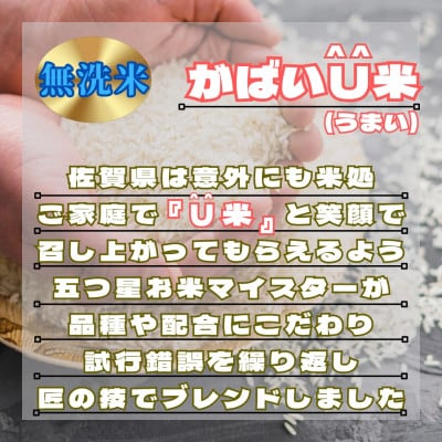がばいU米(うまい)【無洗米】5kg(鳥栖市)
