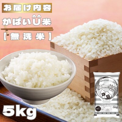 がばいU米(うまい)【無洗米】5kg(鳥栖市)