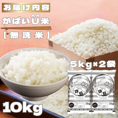 がばいU米(うまい)【無洗米】10kg(5kg×2袋)(鳥栖市)