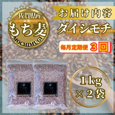 【毎月定期便】【もち麦】ダイシモチ2kg(1kg×2袋)(鳥栖市)全3回