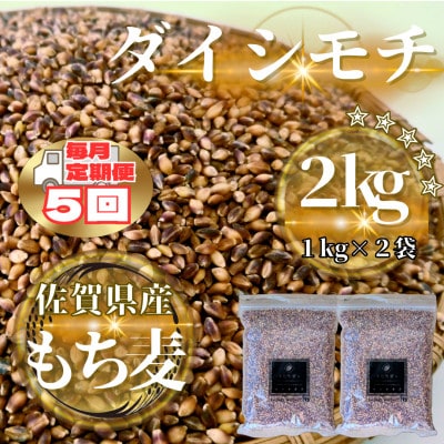 【毎月定期便】【もち麦】ダイシモチ2kg(1kg×2袋)(鳥栖市)全5回