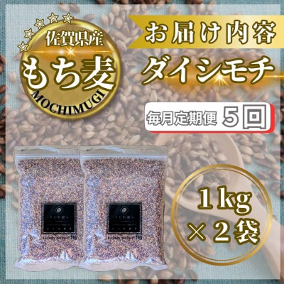 【毎月定期便】【もち麦】ダイシモチ2kg(1kg×2袋)(鳥栖市)全5回