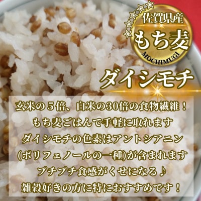 【毎月定期便】【もち麦食べ比べ】キラリモチ1kg・ダイシモチ1kg(鳥栖市)全3回