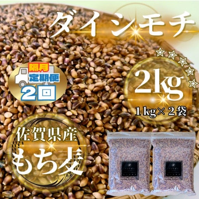 【2ヵ月毎定期便】【もち麦】ダイシモチ2kg(1kg×2袋)(鳥栖市)全2回