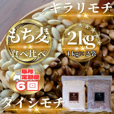【毎月定期便】【もち麦食べ比べ】キラリモチ1kg・ダイシモチ1kg(鳥栖市)全6回
