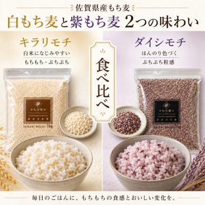 【毎月定期便】【もち麦食べ比べ】キラリモチ1kg・ダイシモチ1kg(鳥栖市)全6回