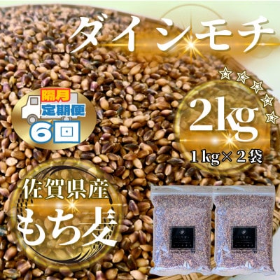 【2ヵ月毎定期便】【もち麦】ダイシモチ2kg(1kg×2袋)(鳥栖市)全6回