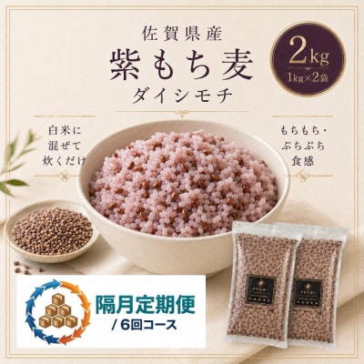 【2ヵ月毎定期便】【もち麦】ダイシモチ2kg(1kg×2袋)(鳥栖市)全6回