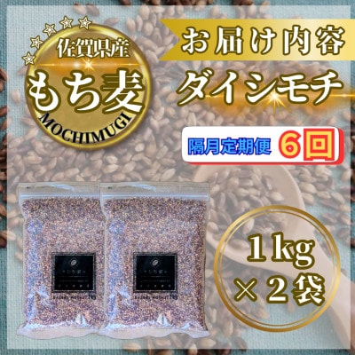 【2ヵ月毎定期便】【もち麦】ダイシモチ2kg(1kg×2袋)(鳥栖市)全6回