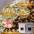 【毎月定期便】【もち麦食べ比べ】キラリモチ1kg・ダイシモチ1kg(鳥栖市)全5回