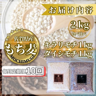 【毎月定期便】【もち麦食べ比べ】キラリモチ1kg・ダイシモチ1kg(鳥栖市)全10回