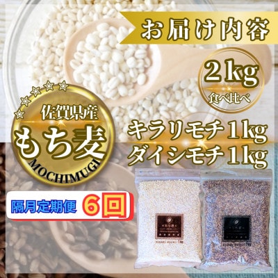 【2ヵ月毎定期便】【もち麦食べ比べ】キラリモチ1kg・ダイシモチ1kg(鳥栖市)全6回