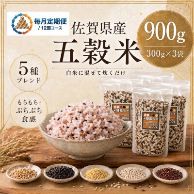 【毎月定期便】【雑穀5】300g×3袋(佐賀県産　五穀米)(鳥栖市)全12回