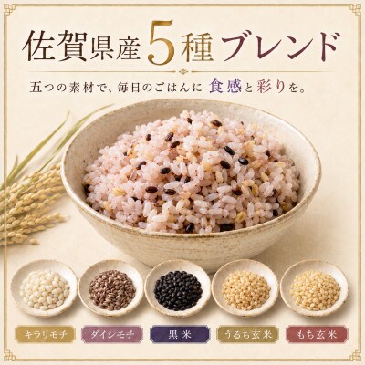 【毎月定期便】【雑穀5】300g×3袋(佐賀県産　五穀米)(鳥栖市)全12回