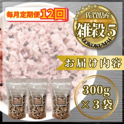【毎月定期便】【雑穀5】300g×3袋(佐賀県産　五穀米)(鳥栖市)全12回
