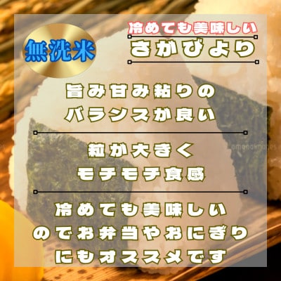 【毎月定期便】【無洗米】さがびより6kg(3kg×2袋)(鳥栖市)全6回