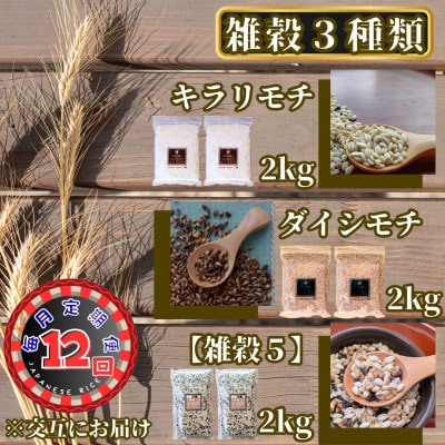 【毎月定期便】【雑穀】3種類食べ比べ♪(鳥栖市)全12回