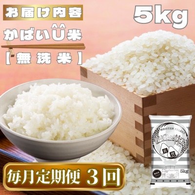【毎月定期便】がばいU米(うまい)【無洗米】5kg(鳥栖市)全3回