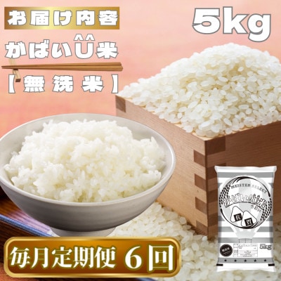 【毎月定期便】がばいU米(うまい)【無洗米】5kg(鳥栖市)全6回
