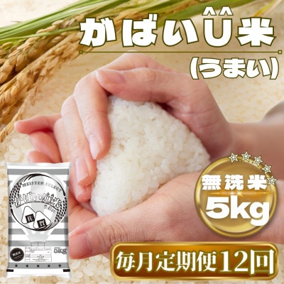 【毎月定期便】がばいU米(うまい)【無洗米】5kg(鳥栖市)全12回